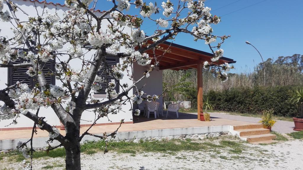 B&B Arcafelice Termoli Buitenkant foto